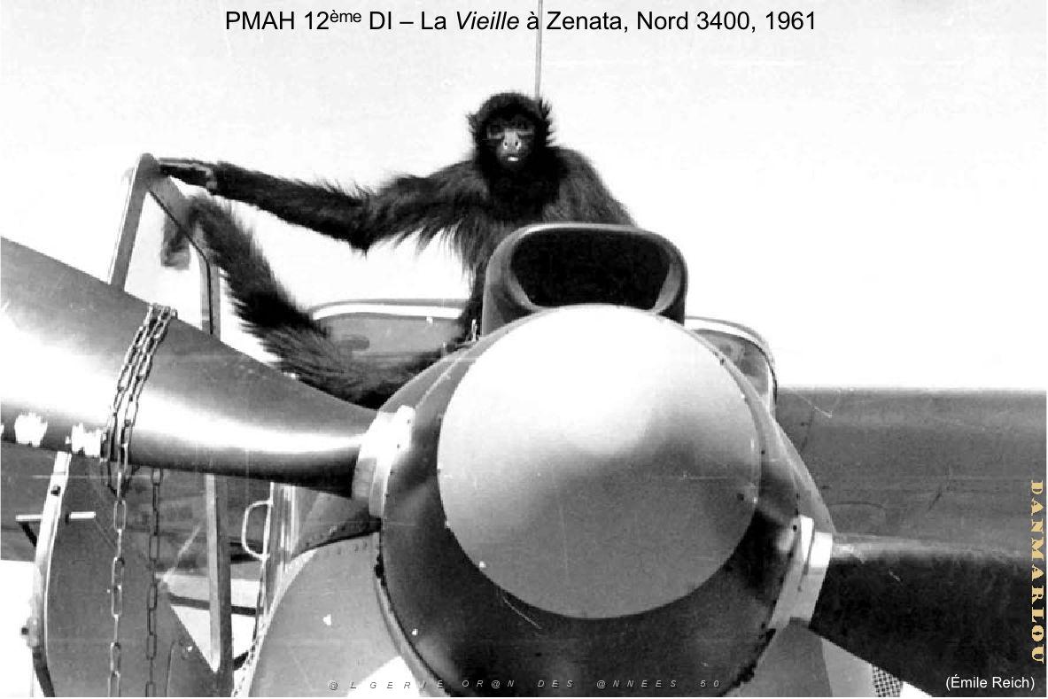 216 ALAT 11 (82).jpg
